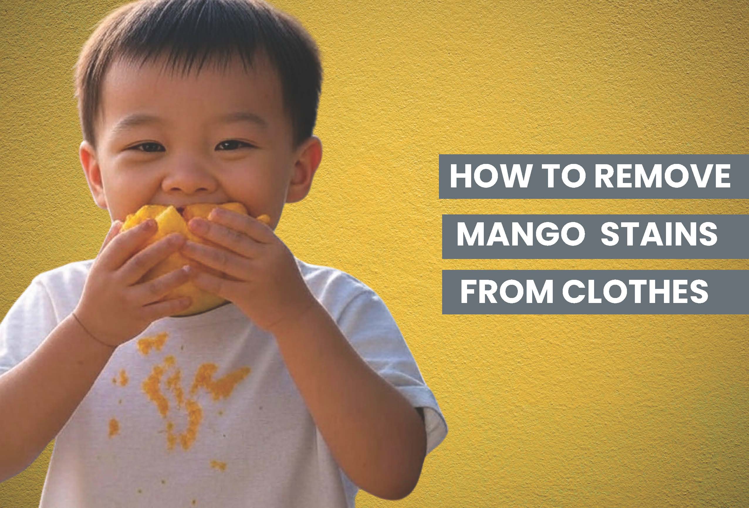 Hand treating a yellow mango stain on a white shirt using detergent